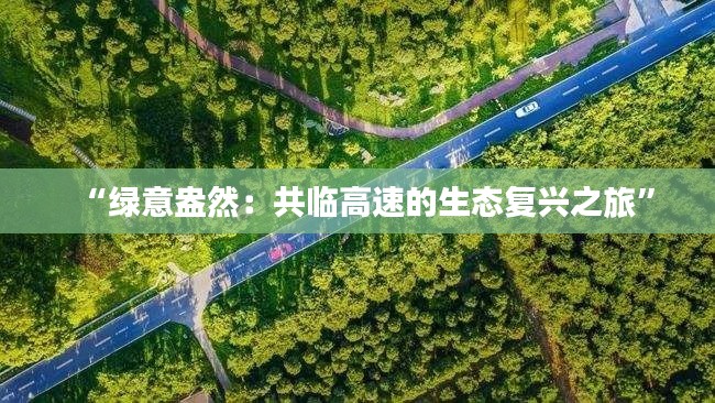 第2778页