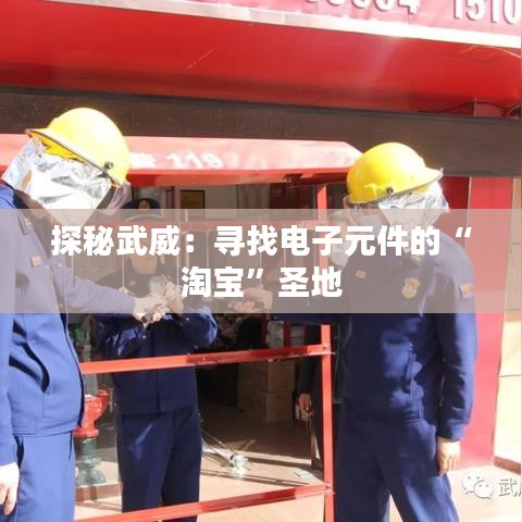 联系方式 第386页