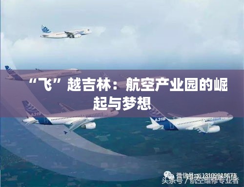 联系方式 第385页
