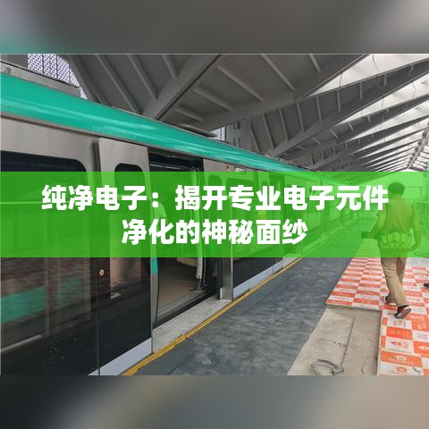 联系方式 第384页