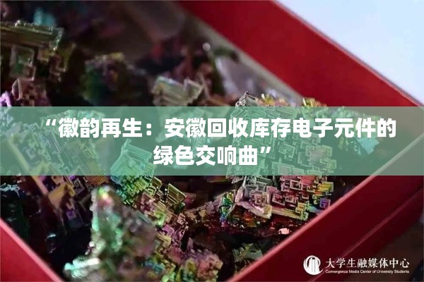 望其项背 第5页