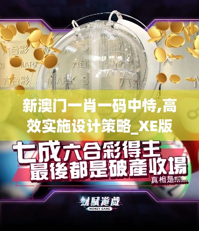 新澳门一肖一码中恃,高效实施设计策略_XE版21.882-4