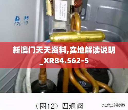 新澳门天天资料,实地解读说明_XR84.562-5