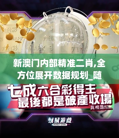 新澳门内部精准二肖,全方位展开数据规划_随身版PUR31.356