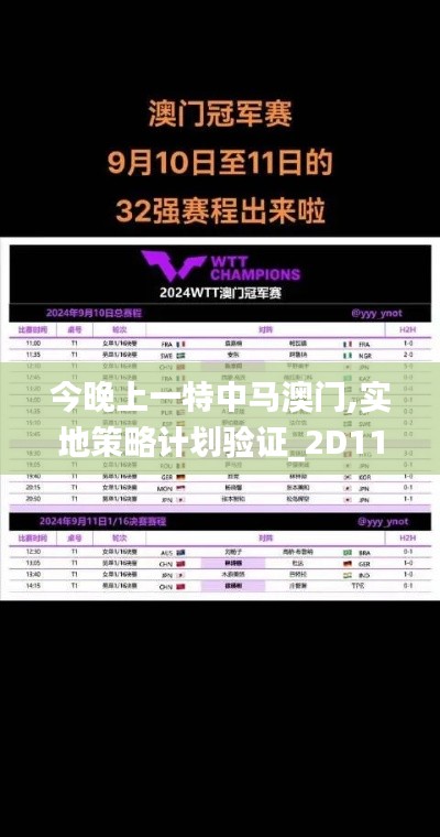 今晚上一特中马澳门,实地策略计划验证_2D11.698-9