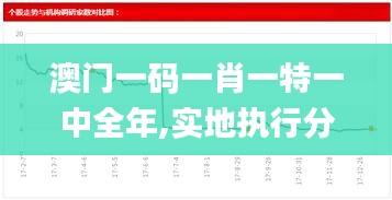 澳门一码一肖一特一中全年,实地执行分析数据_钻石版85.382-1