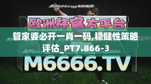 管家婆必开一肖一码,稳健性策略评估_PT7.866-3