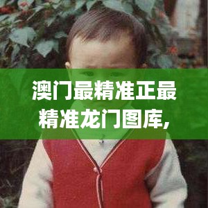 澳门最精准正最精准龙门图库,快速响应策略方案_运动版5.830