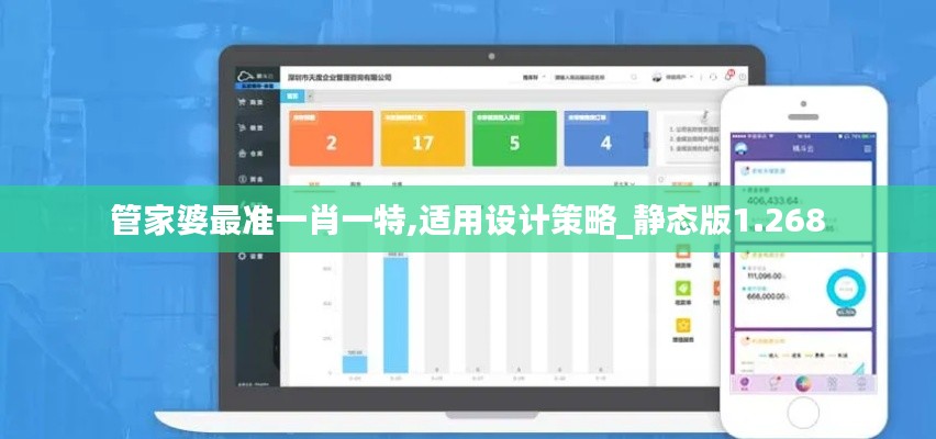 管家婆最准一肖一特,适用设计策略_静态版1.268