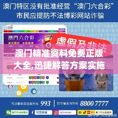 澳门精准资料免费正版大全,迅捷解答方案实施_XT7.256