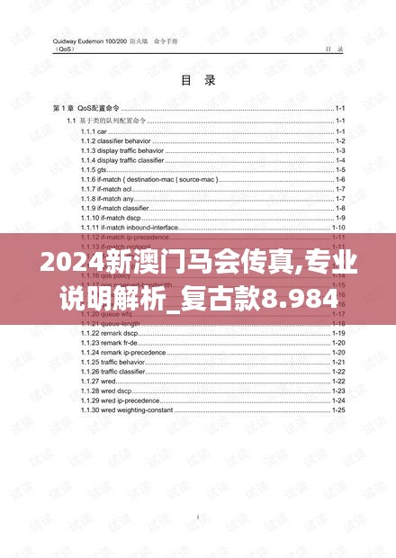 2024新澳门马会传真,专业说明解析_复古款8.984