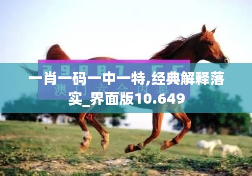 一肖一码一中一特,经典解释落实_界面版10.649