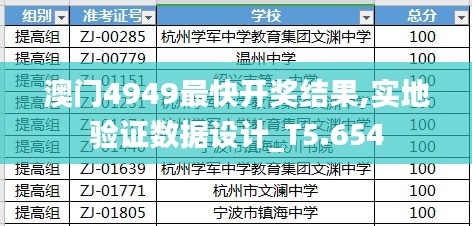 澳门4949最快开奖结果,实地验证数据设计_T5.654