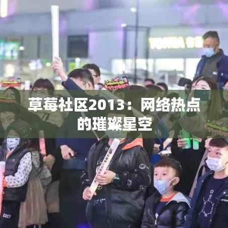 草莓社区2013：网络热点的璀璨星空