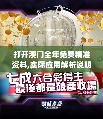 打开澳门全年免费精准资料,实际应用解析说明_复古版3.751