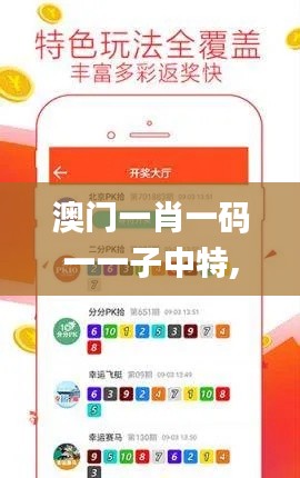 澳门一肖一码一一子中特,状况评估解析说明_复古款7.244