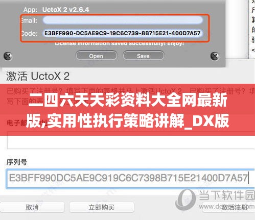 二四六天天彩资料大全网最新版,实用性执行策略讲解_DX版4.545