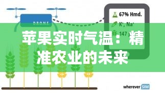 苹果实时气温：精准农业的未来
