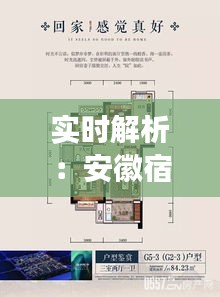 实时解析：安徽宿州猪价动态，市场行情一览无余
