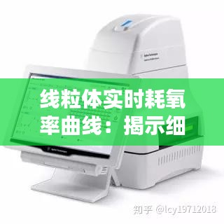 尘土飞扬 第2页
