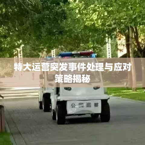 硕果仅存 第2页
