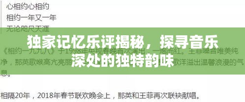 独家记忆乐评揭秘，探寻音乐深处的独特韵味