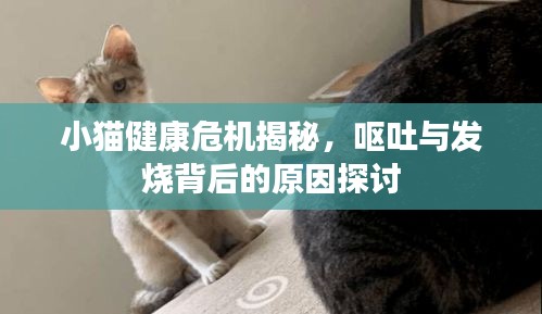 急就章 第2页