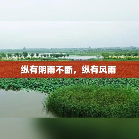 纵有阴雨不断，纵有风雨 