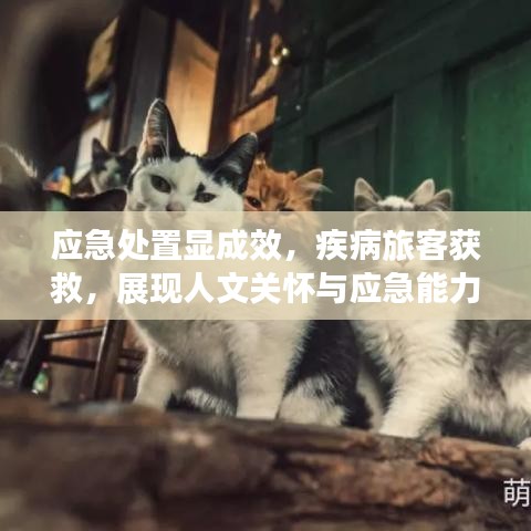 鞭驽策蹇 第2页