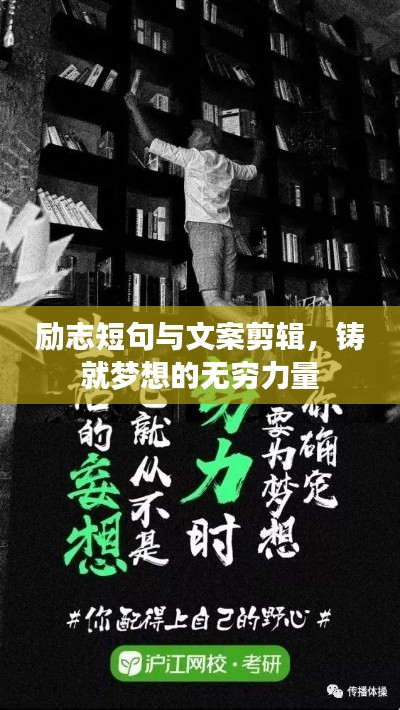 飞龙在天 第2页