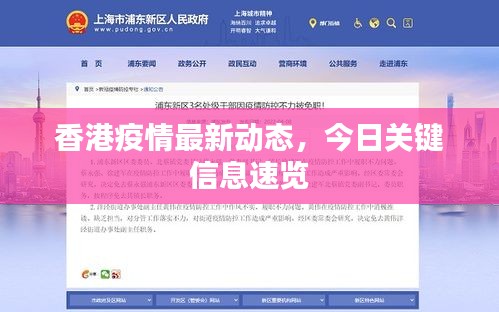香港疫情最新动态，今日关键信息速览