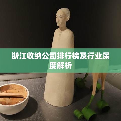 浙江收纳公司排行榜及行业深度解析