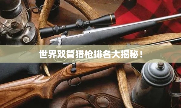 张冠李戴 第2页