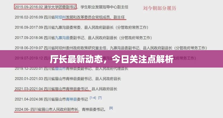 公司介绍 第74页