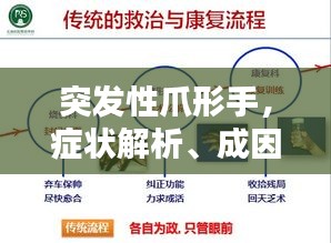 突发性爪形手，症状解析、成因探究与治疗方案