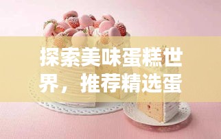 探索美味蛋糕世界，推荐精选蛋糕制作专题！