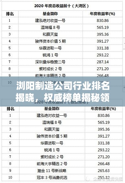 浏阳制造公司行业排名揭晓，权威榜单揭秘领军企业！