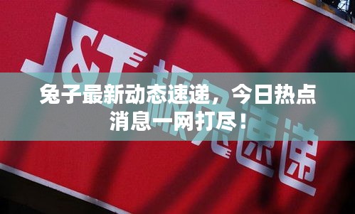 兔子最新动态速递，今日热点消息一网打尽！