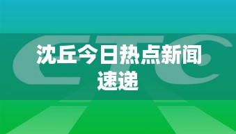 沈丘今日热点新闻速递