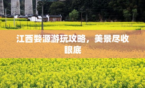 钗荆裙布 第2页