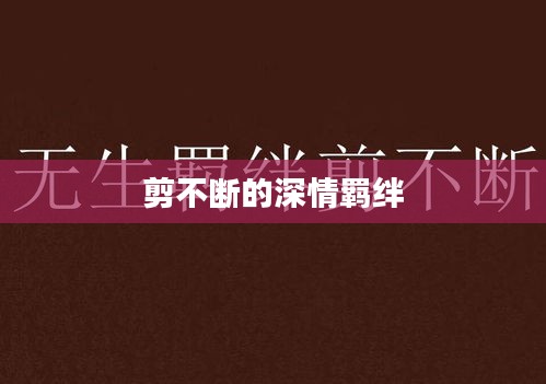 剪不断的深情羁绊