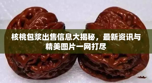 鸢飞戾天