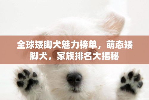 联系方式 第33页