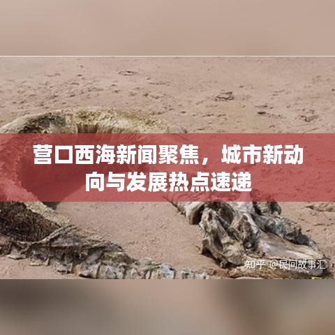 营口西海新闻聚焦，城市新动向与发展热点速递
