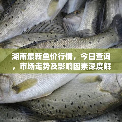 半新不旧