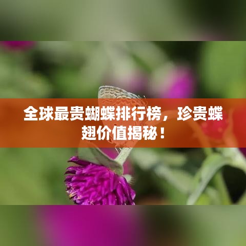夫妻本是同林鸟