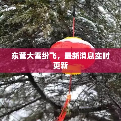 地老天荒