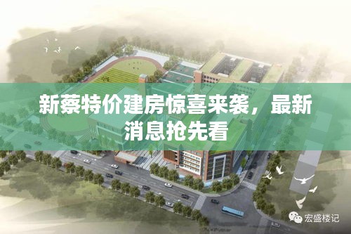 迷离马虎