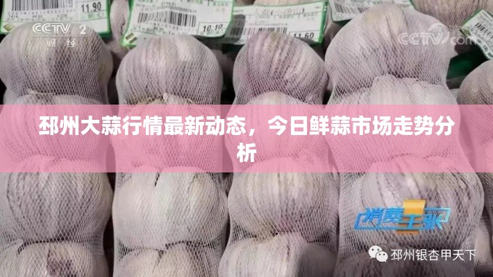 小鸟依人
