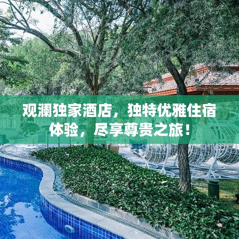 紫色蛙声